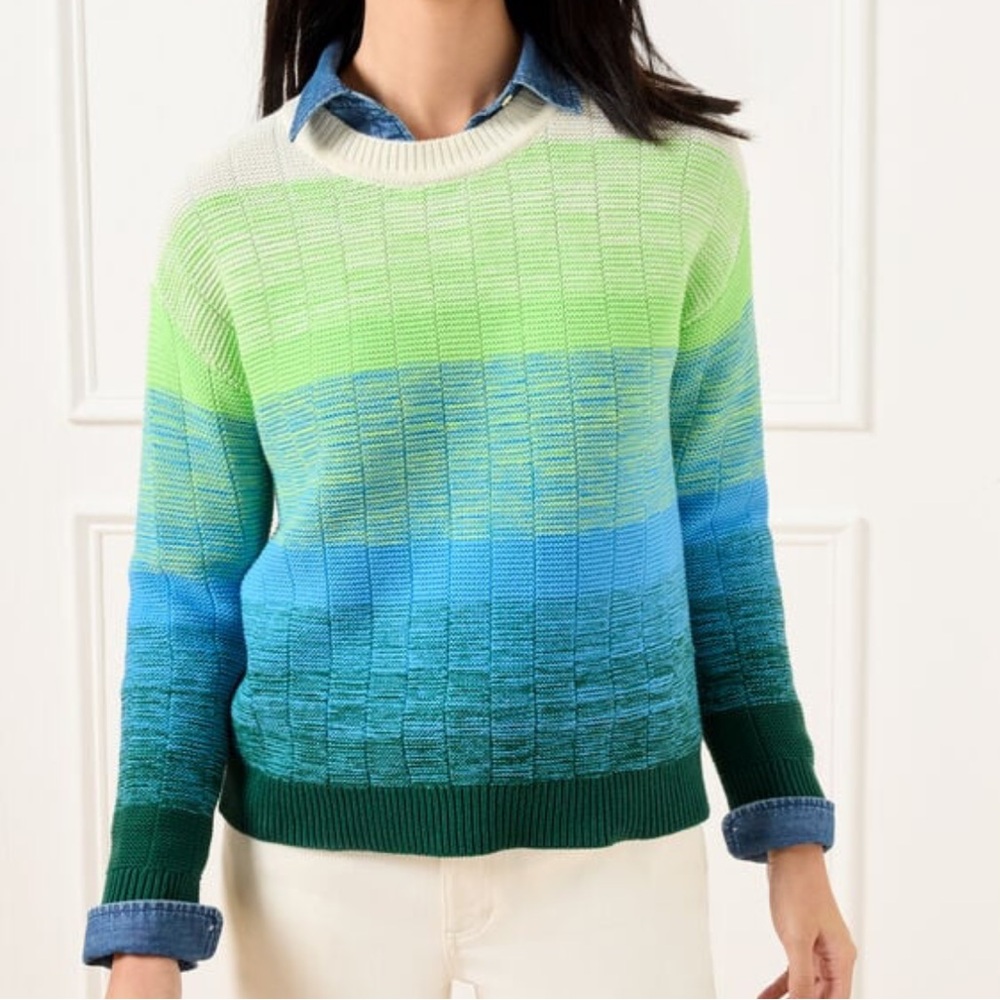 Talbots Combed Cotton Ombré Crewneck Sweater Sz P